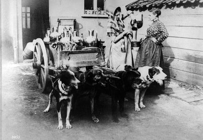 Ein Hundewagen verkauft Milch in Brüssel, ca. 1890er von Belgian Photographer